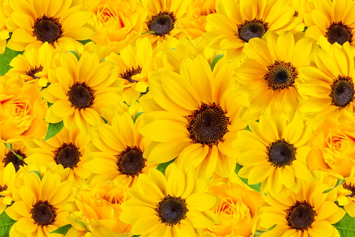 Summer Flowers & Seasonal Bouquets