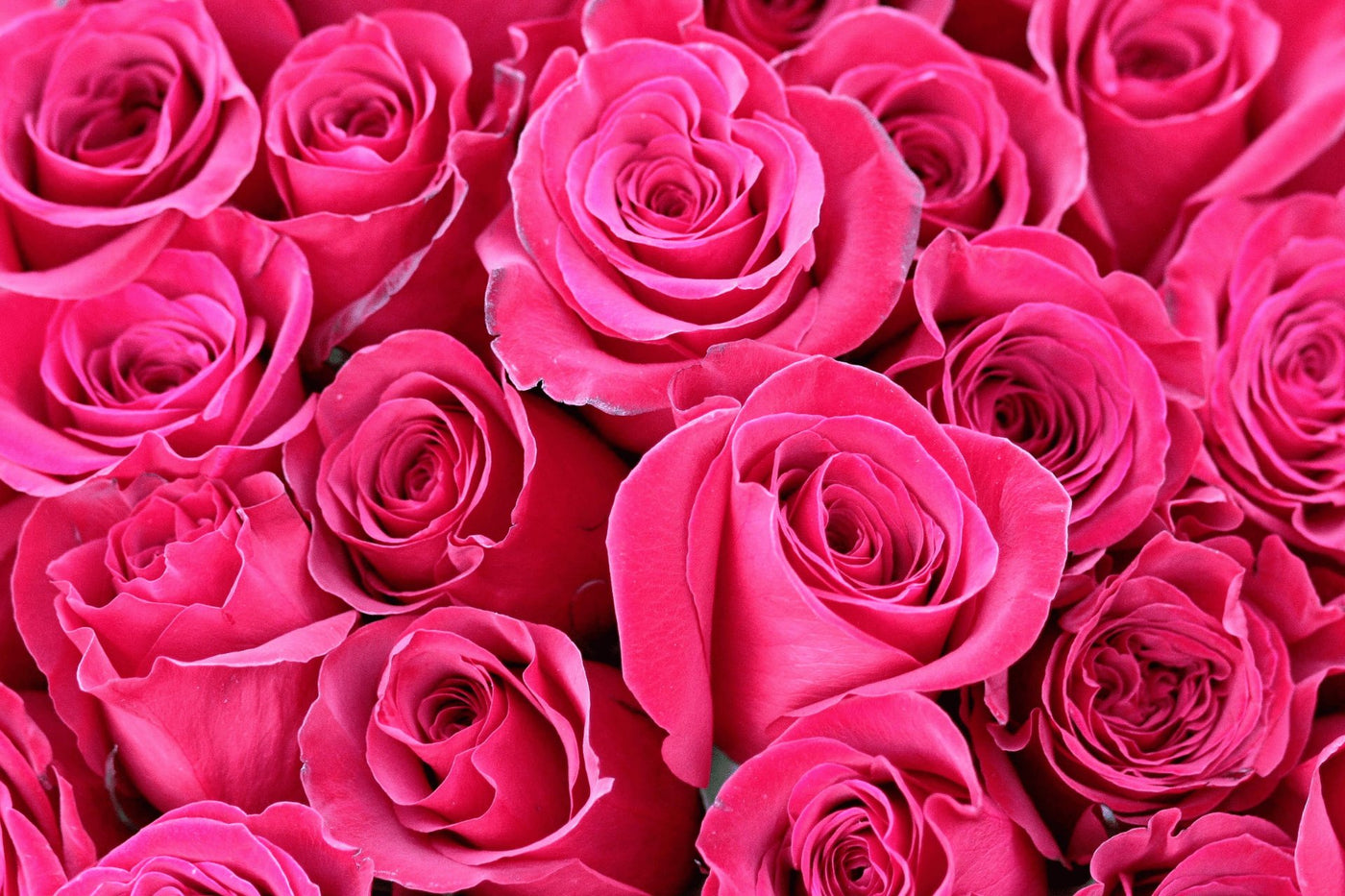 Anniversary & Romance