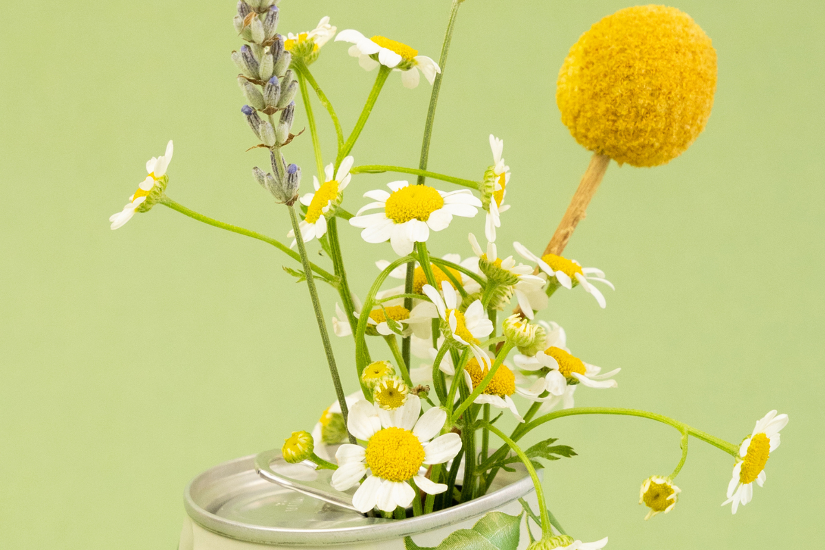 Get Well Flowers & Plants