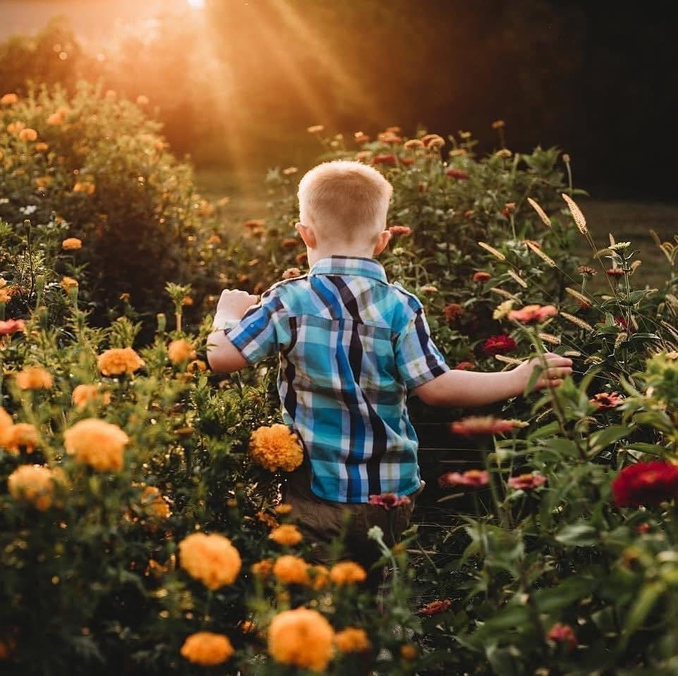 Foxx walking through the 21 Petals flower farm in Lafayette at sunset