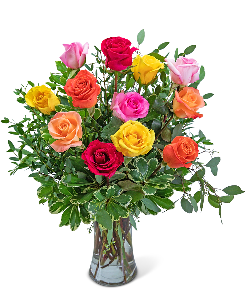 One Dozen Vibrant Roses