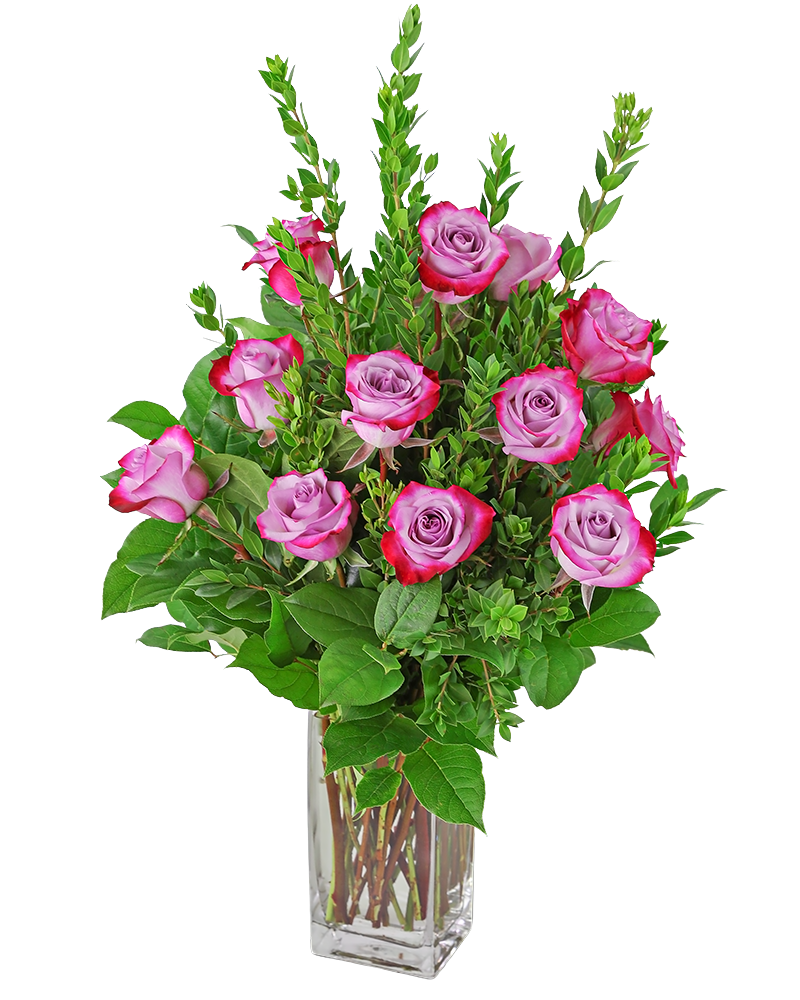 Vibrant Lavender Roses (12)