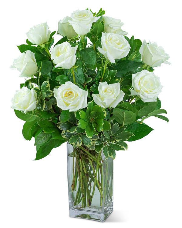 White Roses (12)