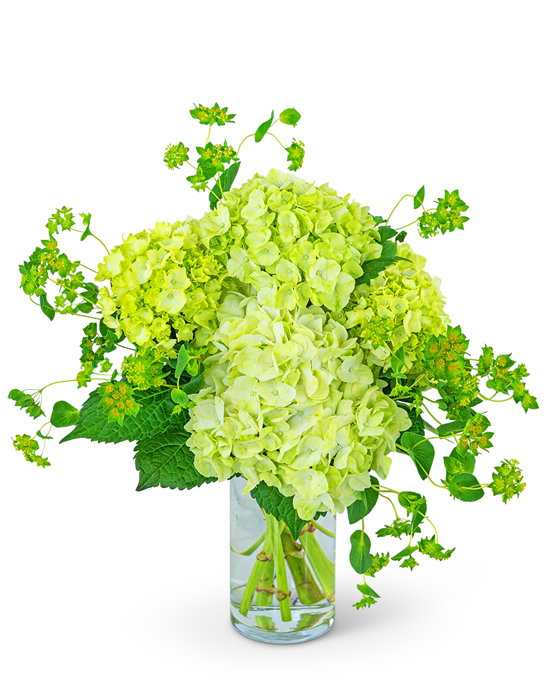 Green Glow