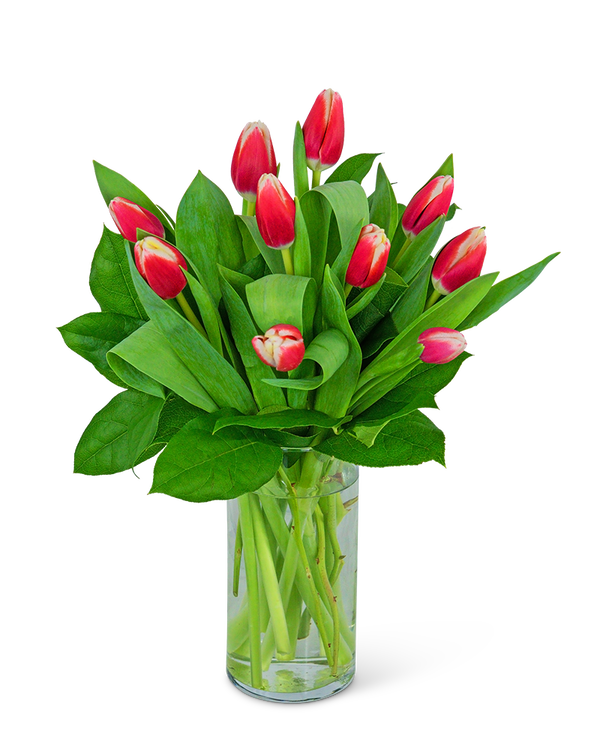 Tigress Tulips