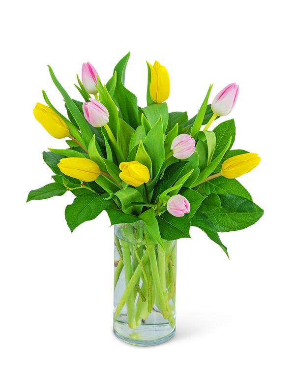 Strawberry Lemonade Tulips