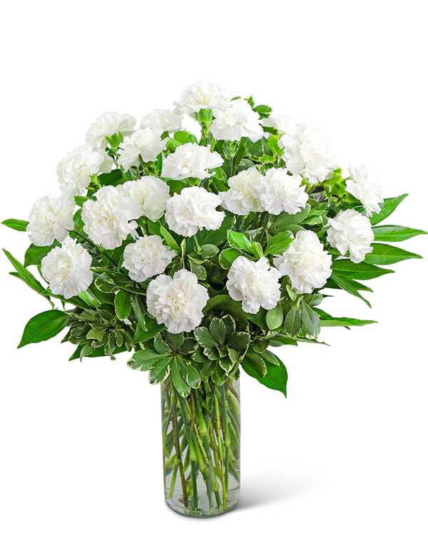 White Carnations Vase