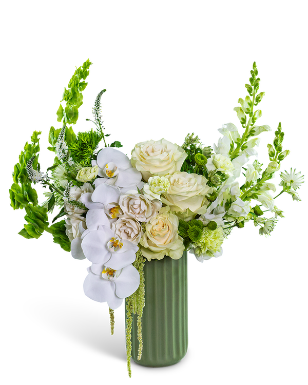 Cashmere Orchid Moment
