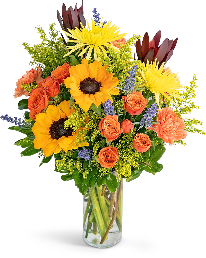 Sending You Splendor