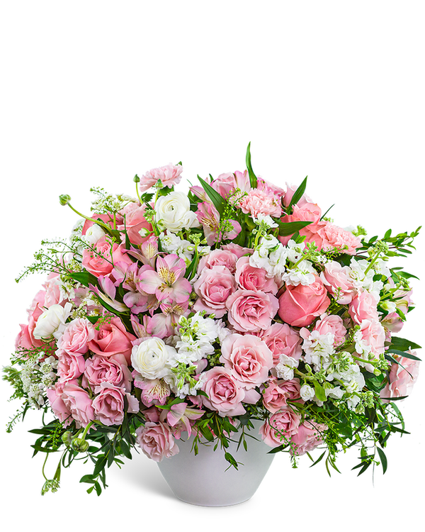 Provence Rose Garden