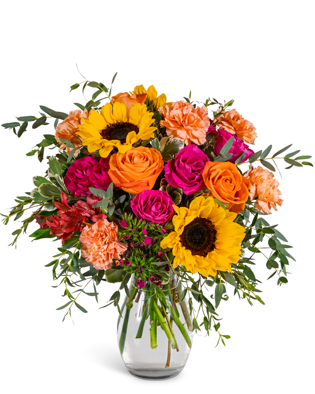 Fiesta Bloom