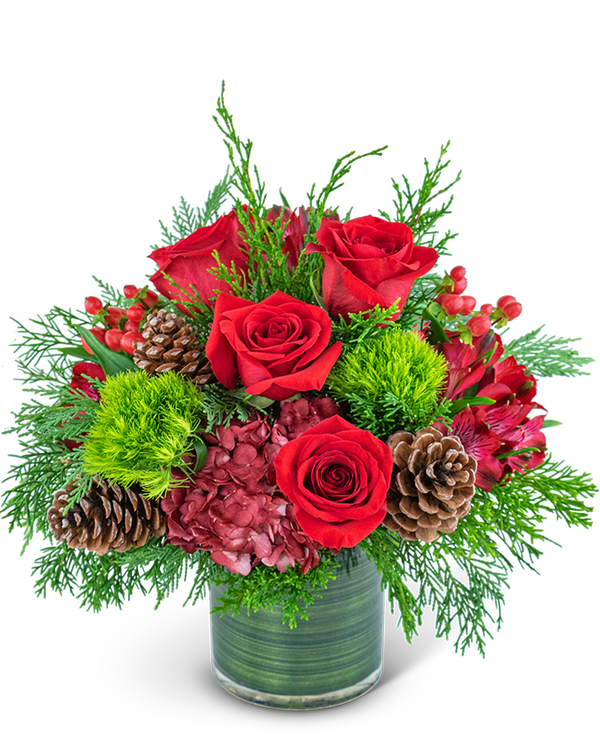 Festive Cranberry