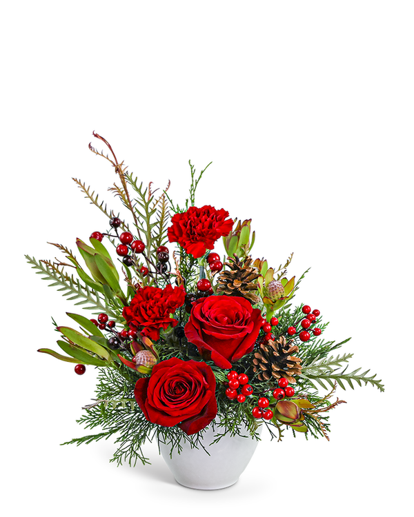 Crimson Pine