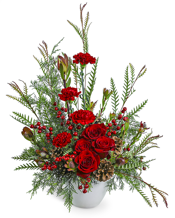 Crimson Alpine
