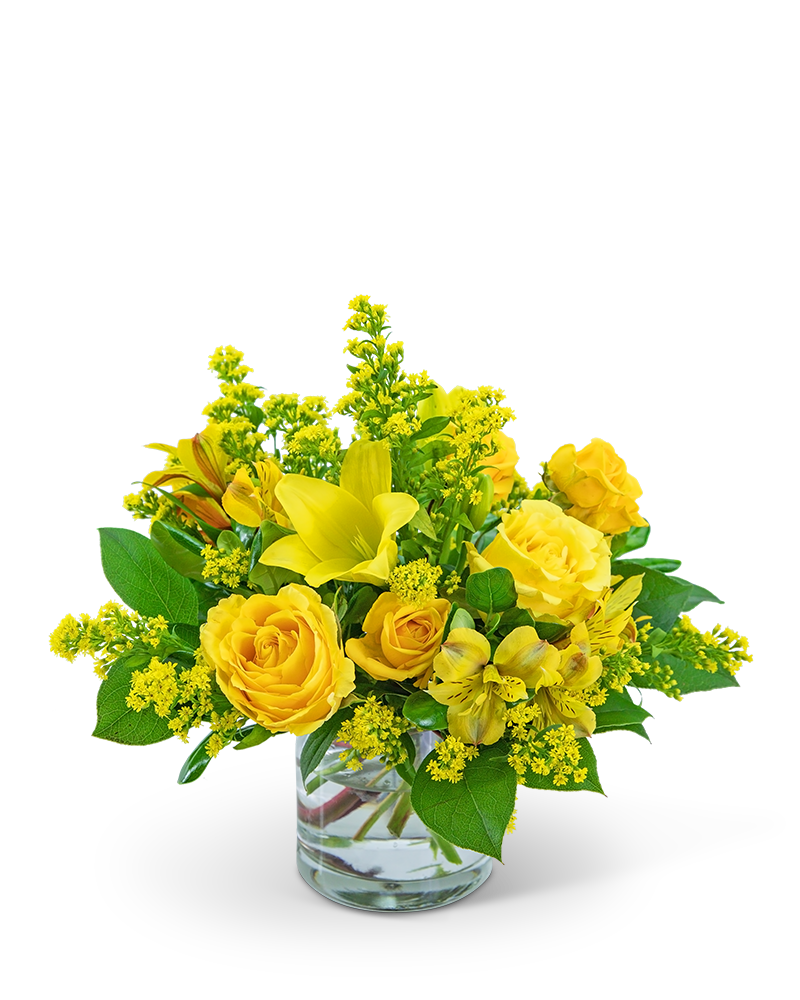 Canary Light