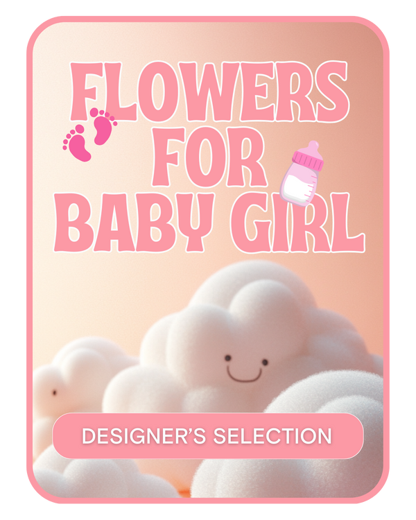 Designer's Selection Baby Girl