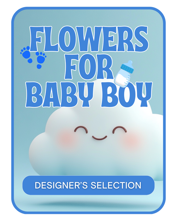 Designer's Selection Baby Boy