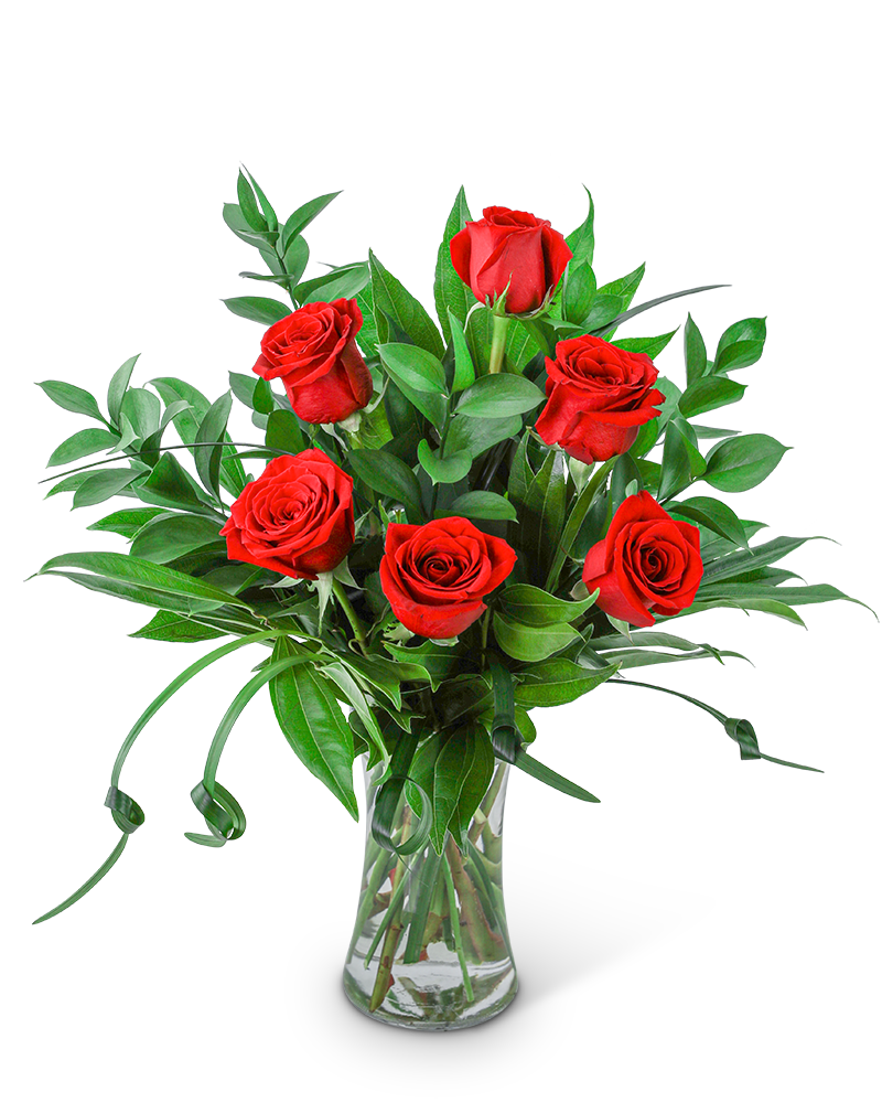 The 6 Red Knot - Rose Bouquet