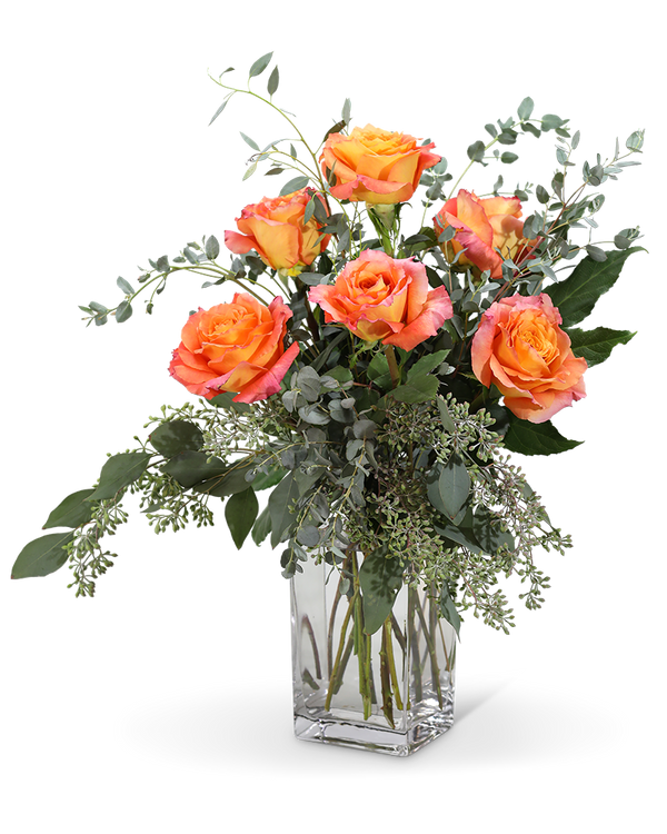 Free Spirit Roses (6)