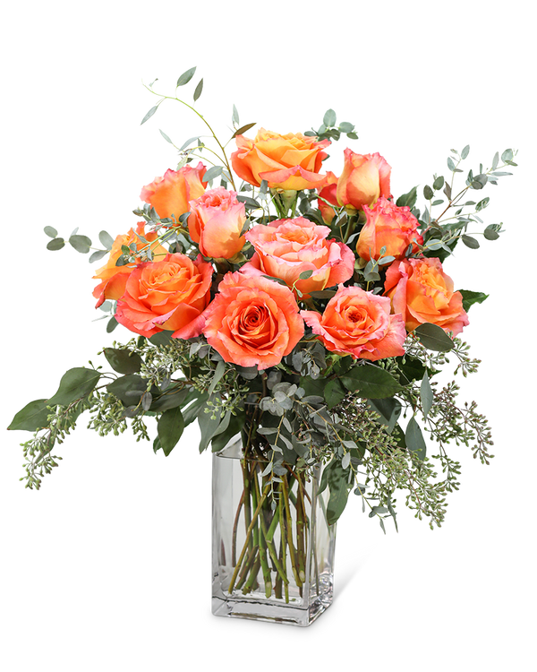 Free Spirit Roses (12)