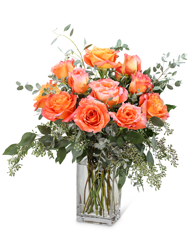Free Spirit Roses (12)