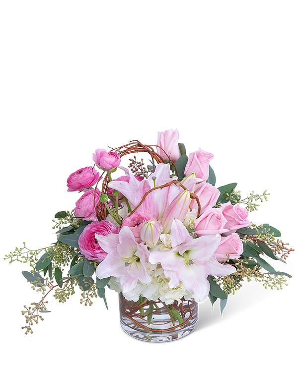 Blush and Willow