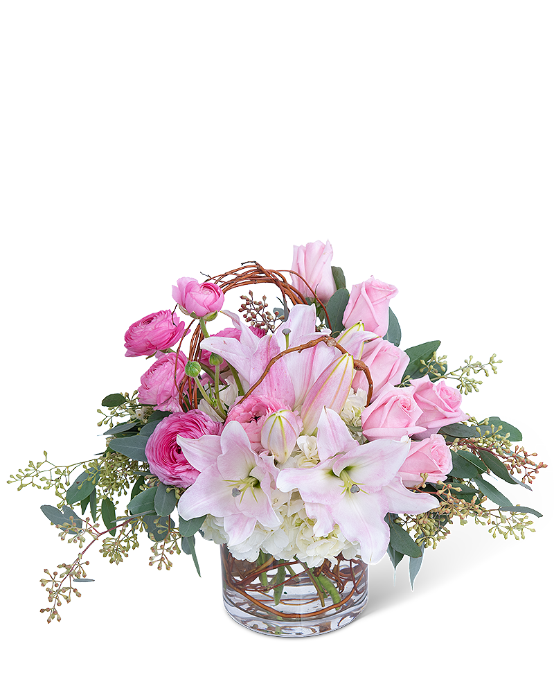 Blush and Willow