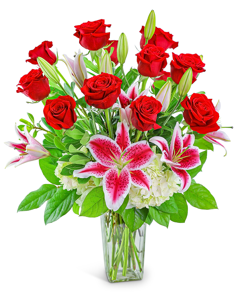Enchanting Dozen