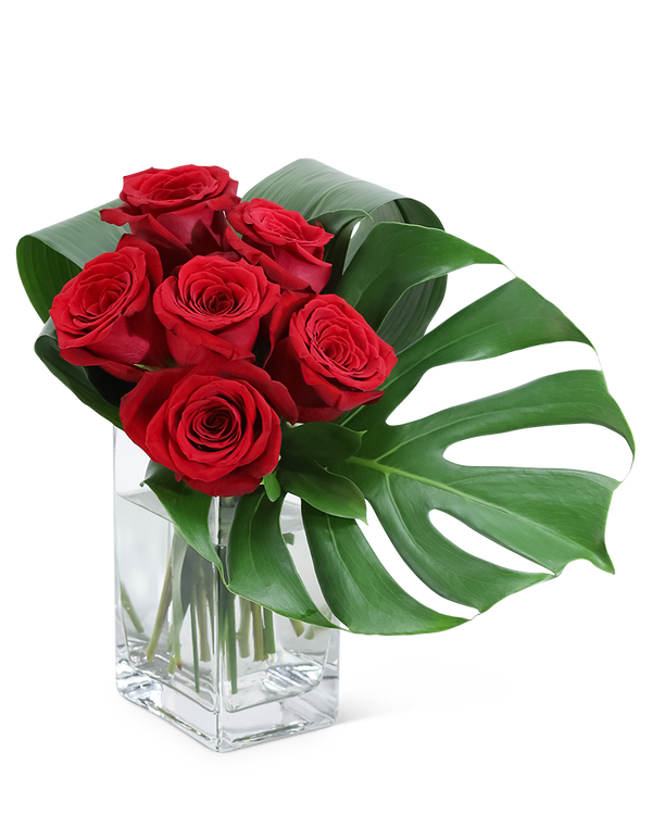 The Modern 6 - Rose Bouquet
