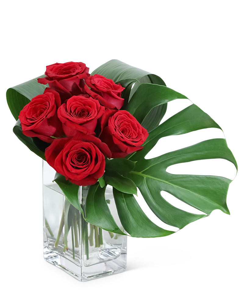 The Modern 6 - Rose Bouquet