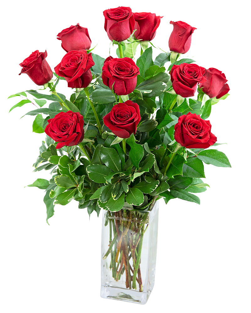 Classic Dozen Red Roses