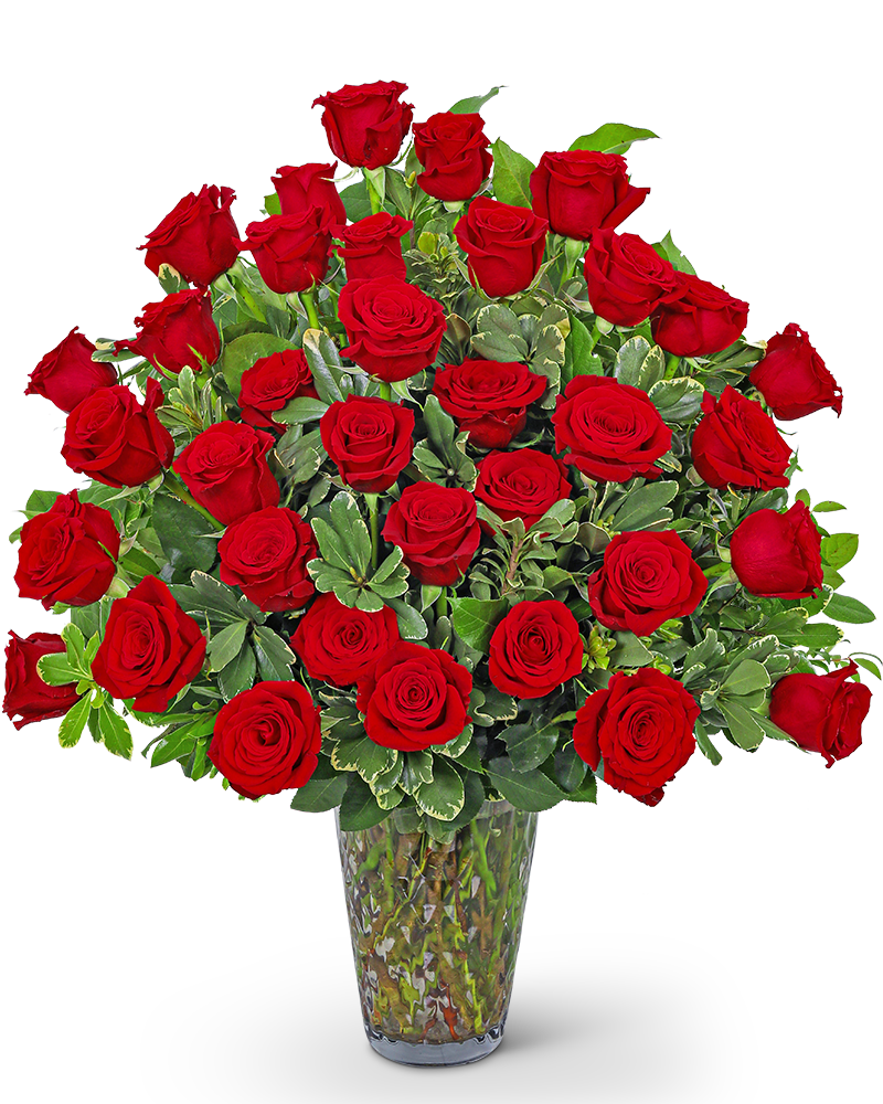 Three Dozen Elegant Red Roses