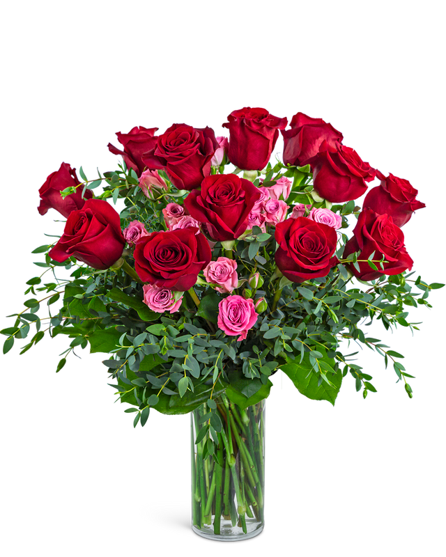 Kiss Me Dozen Roses