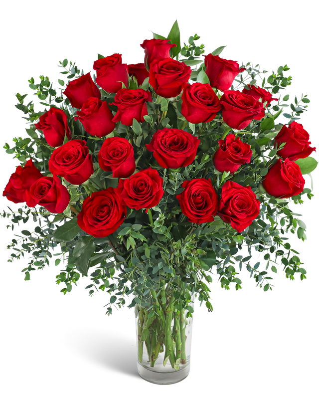 Two Dozen Red Hot Roses
