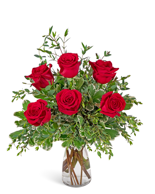 Half Dozen Red Roses