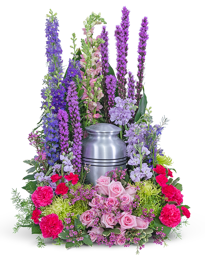 Garden of Life Surround