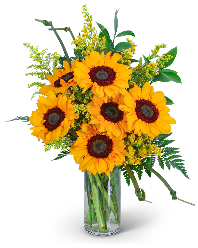 Sunflowers and Love Knots