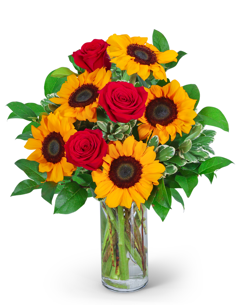 Rosy Sunflowers