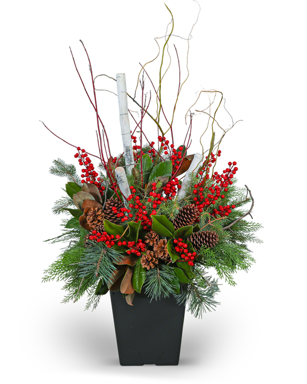 Winter Porch Pot