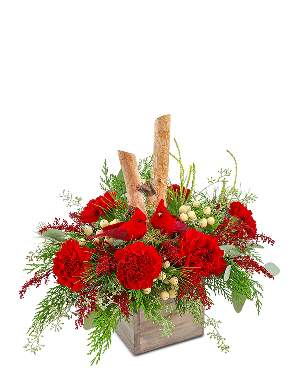 Woodland Cardinal Cheer