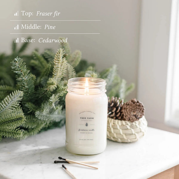 Tree Farm 16oz Candle - Antique Candle Co